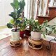thumbnail image 2 of Boho Rattan Woven Round Decorative Risers Plant Stands Indoor, Modern Plant Stand, Wicker Short Plant Stand 2pack, 2 of 5