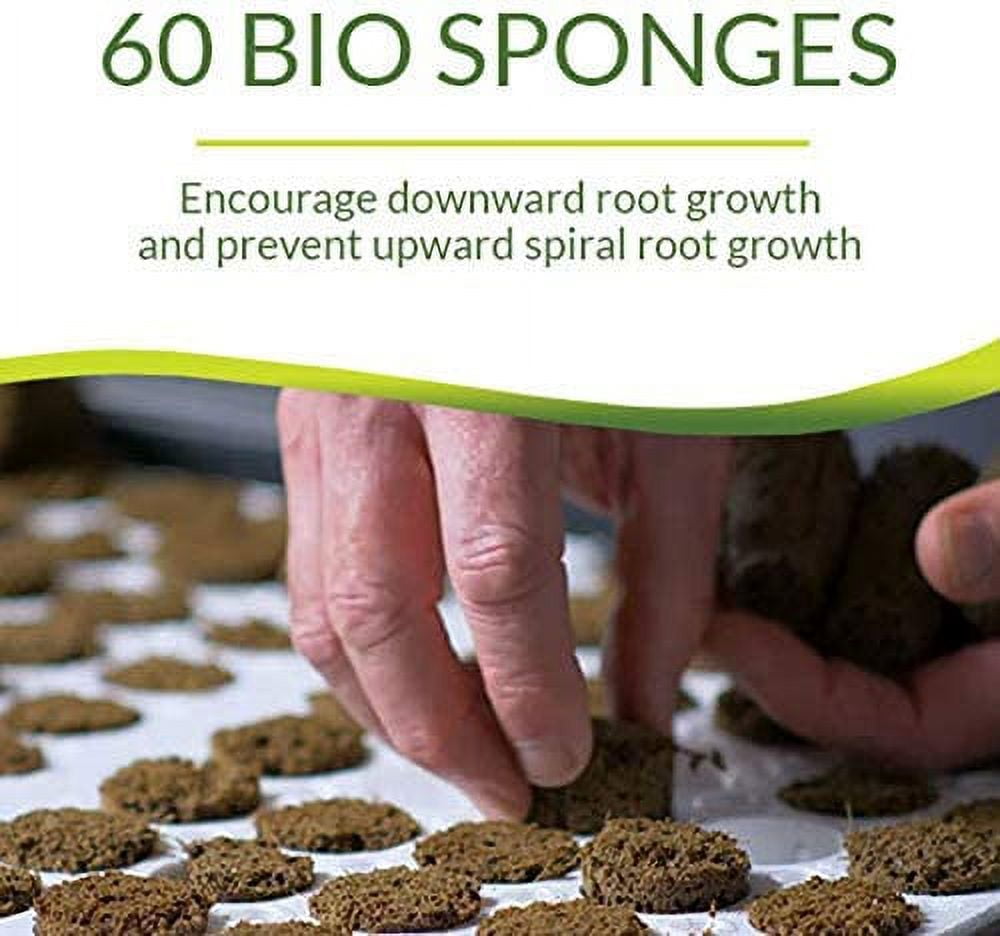 Seed Starter Kit with 60 Cell Planting Block, Base Tray, Humidity Dome & 60 Bio Sponges