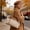 Khaki, variant on Vintage Women's Tote Bag,Heavy Duty Oxford Cloth Hand Bag,Uncomplicated Style Shoulder Bag With Drawstring,Durable Travel Commuter Handbag for Fitness,Swimming,Shopping