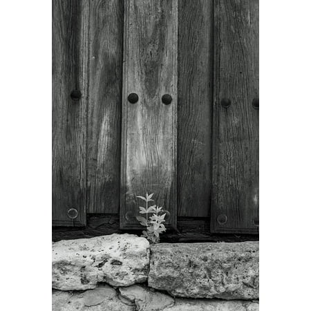 Canvas Print House Door Plant Wood Stone Outdoor Entrance Stretched Canvas 32 x