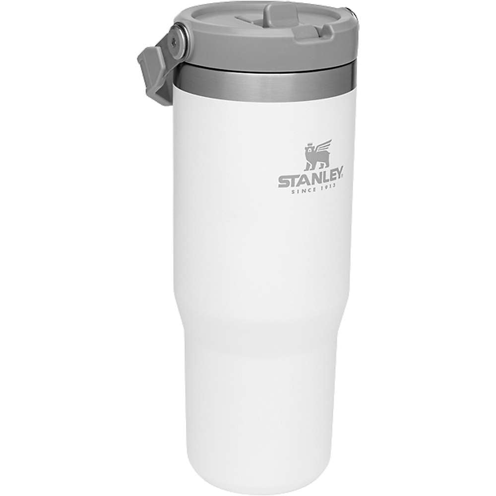 Stanley 30 oz. IceFlow Flip Straw Tumbler - ShopStyle