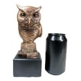 thumbnail image 7 of Woodland Nocturnal Bird Hunter Long Eared Owl Bust Electroplated Figurine Bird, 7 of 7