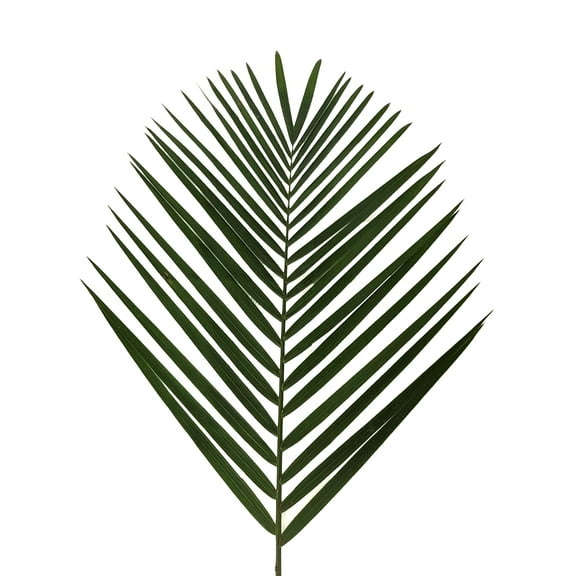 Tepee Palm - Fresh Cut - 200 Stems