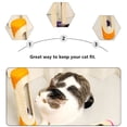 thumbnail image 3 of BESTSKY Cat Scratching Post Interactive Toy Plastic Sisal Scratcher Kitten Plaything Natural Indoor, 3 of 7