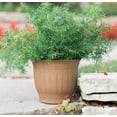 thumbnail image 2 of Bloem Colonnade Wood Resin Planter 12" Forest Green, 2 of 5