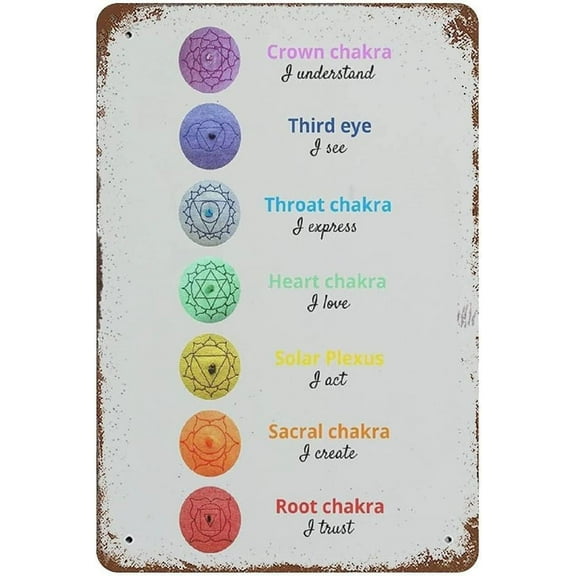 5.5x8 Inch Metal Tin Sign Funny Reiki Principles With Chakra Yoga Wall Art Retro Poster Home Bar Pub Garden Wall Decoration Poster Painting