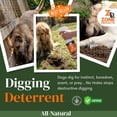 thumbnail image 2 of Zone Protects Pets No Holes Digging Dog Prevention Spray 32oz; Stop Dogs from Digging in Yards, Gardens, Flower Beds and Under Fences; All-Natural Digging Deterrent, 2 of 7