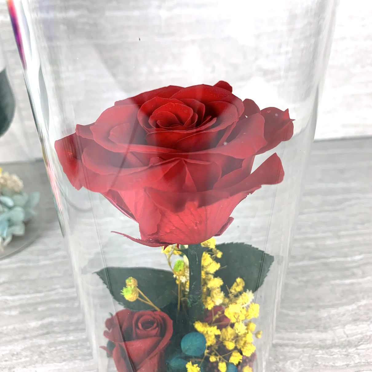 8.5" Enchante Forever Rose Touch Night Light Preserved Flower LED Lamp, Red