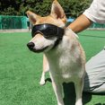 thumbnail image 2 of Wdftyju Gafas para perros Protección UV Gafas para mascotas Gafas impermeables a prueba de viento Gafas de sol Wdftyju 6uj4kn1vt9yt8xg6D02, 2 of 9