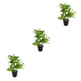 thumbnail image 3 of Bearachild Hojas artificiales de bajo mantenimiento de plantas falsas en maceta de tortuga ABS para la sala de estar de la oficina en el hogar Type1 NO1, 3 of 6
