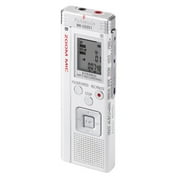 Panasonic 1GB Digital Voice Recorder, RR-US551