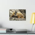 thumbnail image 3 of Yellow Bellied Marmot Couple Yellow Bellied Marmot Couple Print Animal Wall Art Wildlife Canvas Prints Wall Art Ready to Hang Unframed, 3 of 18