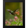 thumbnail image 2 of Fitzharris, Tim 12x14 Black Modern Framed Museum Art Print Titled - Rufous Tailed Hummingbird, 2 of 5