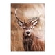 thumbnail image 3 of Impresión artística de pared con hojas de bosque de calabaza y ciervos, pintura en lienzo, paisaje de naturaleza otoñal, póster nórdico, imágenes para sala de estar, decoración del hogar, 3 of 5