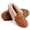 Orange, variant on Knivor Cozy Warm Moccasin Slippers for Women with Metal Decor Slip On Closed Toe Fuzzy Slippers Non Slip Fashion Winter Loafers for Indoor Outdoor House Shoes