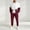 Wine, variant on Men's Retro Windbreaker Tracksuits Set Long Sleeve Full Zip Running Sports Sweatsuit Color Block 2 Piece Outfits Commuting