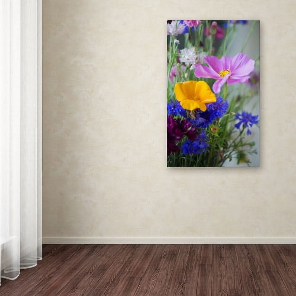 Trademark Fine Art "Cosmo Duo" Canvas Art by Philippe Sainte-Laudy
