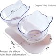 thumbnail image 2 of Jinsinto Bols de Nourriture pour Chat, Bols de Nourriture pour Chat Inclinables à 15°, Double Bols de Nourriture pour Chat, Bol de Nourriture Transparent pour Chat, 2 of 5