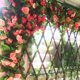 thumbnail image 3 of Guirnalda de flores ZOELNIC, rosa artificial colgante, hiedra, para hogar, hotel, oficina, boda, fiesta, jardín, artesanía, decoración artística, 3 of 7
