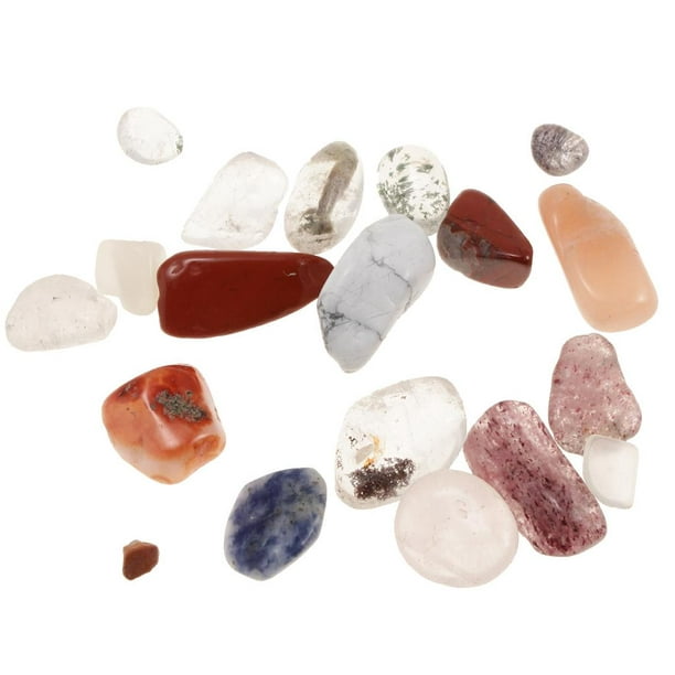 Rock And Mineral Collection Geology Case, Earth Science Toys - 