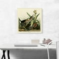 thumbnail image 2 of ARTCANVAS Green Heron Canvas Art Print by John James Audubon - Size: 18" x 18" (0.75" Deep), 2 of 9