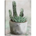 thumbnail image 1 of Cuadro Decorativo - Jardín del desierto II Jr  Impresión en canvas, estrechado., 1 of 1