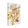 thumbnail image 2 of Trademark Fine Art 'Rust Colored Oak Leaves' Canvas Art by Joanne Porter, 2 of 3