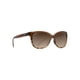 thumbnail image 2 of Lentes de Sol Maui Jim Starfish Polarizados Chocolate Translúcido, 2 of 7
