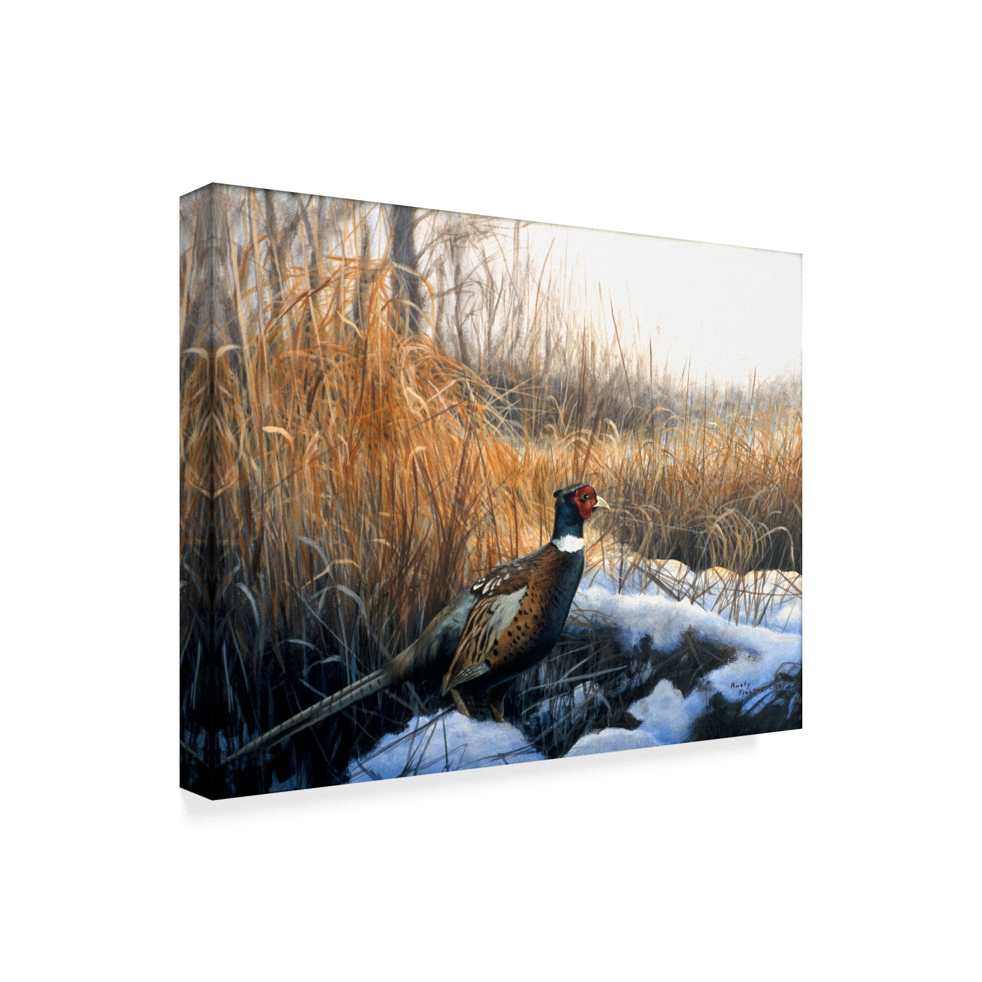 Trademark Fine Art 'Pheasant' Canvas Art by Rusty Frentner