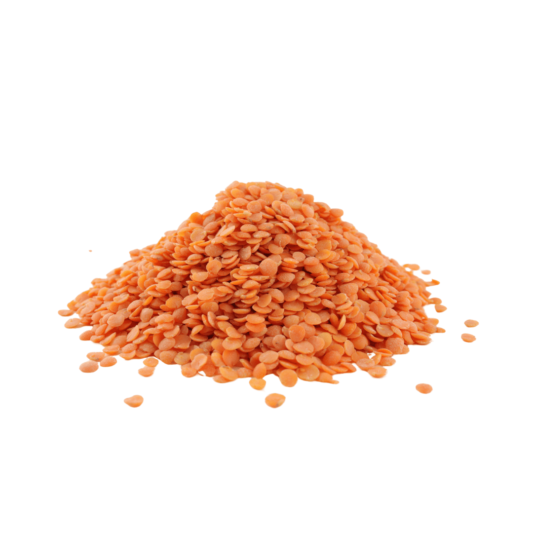 Lentil, Red Split  25LB BAG, USDA Certified Organic & GMO Free, Sustainable Farming Practices-Mountain High Organics