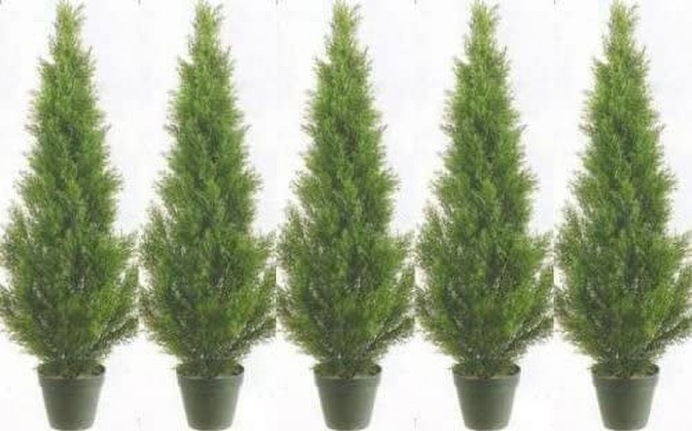 Silk Tree Warehouse Five 3 Foot Artificial Cedar Topiary Trees Potted