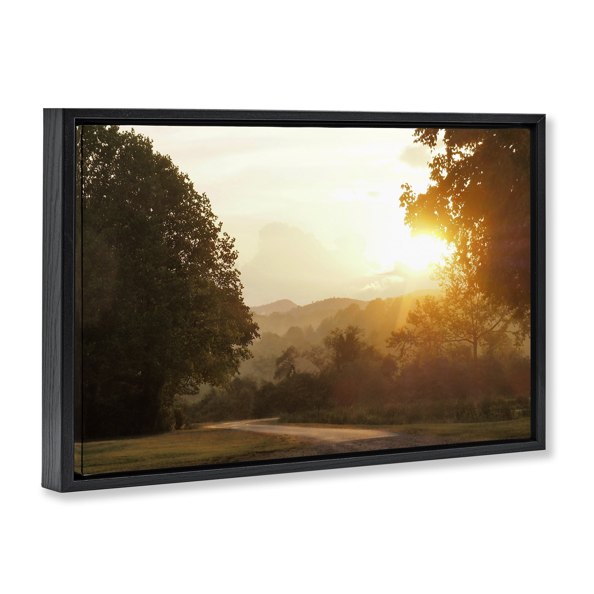 Stupell Industries Golden Morning Between Trees Black Framed Floater Canvas Wall Art, design by Gail Peck