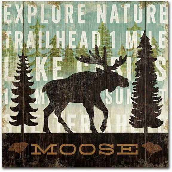 Trademark Fine Art "Simple Living Moose" Canvas Art by Michael Mullan