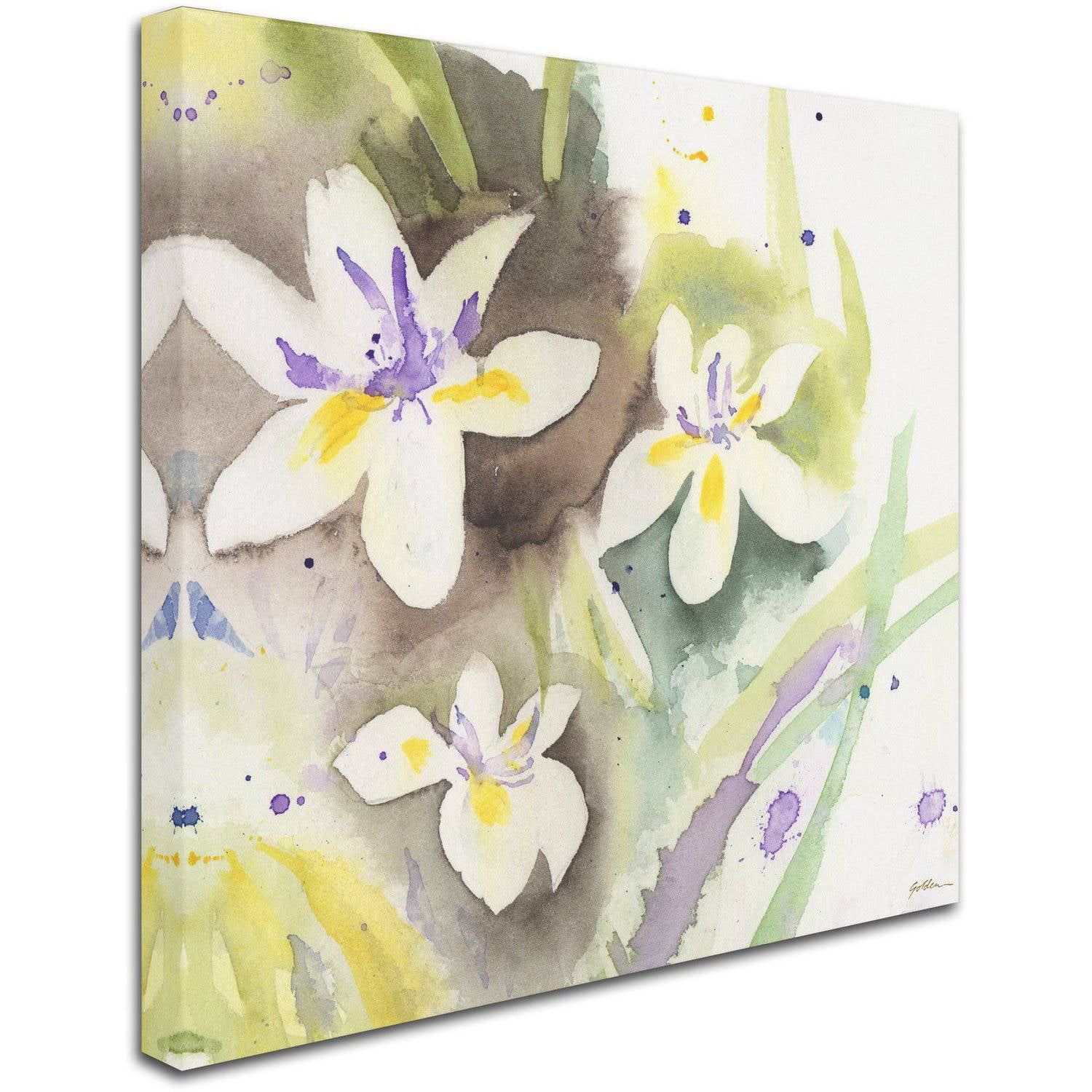 "White Iris" Canvas Art by Sheila Golden