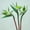 3pcs-green, variant on HAOSHICS 3pcs Artificial Bird Of Paradise Flowers Rubber Strelitzia 24.5'' Long Stem Flower Suitable For DIY Home Decor Party Theme Display Fall Decor