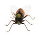 thumbnail image 4 of 5 piezas de juguetes educativos para niños con modelos de animales artificiales de simulación, muy vendidos. abeja, 4 of 8