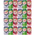 thumbnail image 1 of Ginger Ale Variety Pack, Blackberry, Cranberry, Regular, 12 fl oz, 18 cans, 1 of 2