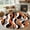 Black, variant on 2x3 Door Mat Rug, Abstract Stripes Non-Skid Rubber Backing Large Rectangle Rugs - Living Room Bedroom Home Office, Retro Modern Orange Black Gray Lines Indoor Floor Mat Carpets Washable Rug