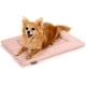 thumbnail image 1 of Dog Crate Pad, Soft Velvet, Reversible Bed Mat, Machine Washable Kennel Pad for Pets up to 15 lbs, Mattress for Cozy Sleeping, 20” x 15” x 1” (Pink, Small), 1 of 5