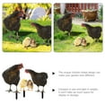 thumbnail image 3 of BESTYASH 1Jgo De Jardín Con Estaca De Gallina Acrílica Colorida Y Compacta, 3 of 7
