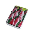 thumbnail image 1 of KuzmarK Silver Windproof Flip Top Lighter -  Watermelon Kitties Abstract Cat Art by Denise Everyâ¢, 1 of 2