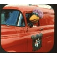 thumbnail image 2 of Sesame Street in 3D - 6 vintage Reels Counting,Elmo Wants to Play,Seven Furry Monsters,Goes Wester, 2 of 6