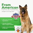 thumbnail image 2 of Healthy Dogma Beef Kitchen Cuts Dog Treats – Freeze-Dried, Grain-Free, Single-Protein Raw Dog Snacks for Training & Sensitive Stomachs, 2.5 oz, 2 of 5