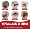 thumbnail image 3 of Pest & Insect Control Spray, Spider lent Indoor, Spiders, Ants, Silverfish, Mosquitoes, Moths, and More, Plant Formula Safe for Indoor/Outdoor Use, 3 of 3