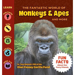 Pre-Owned The Fantastic World of Monkeys & Apes and More (Hardcover) 195646249X 9781956462494