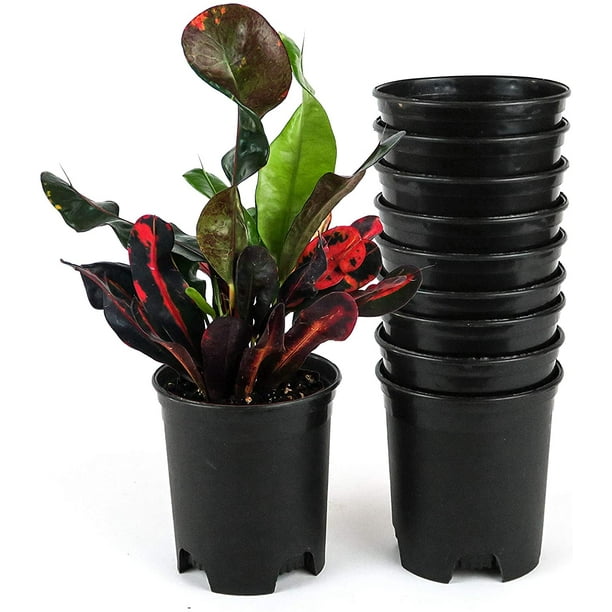 Wholesale Bulk Nursery Pot 4 Inch Black Plastic Planters 30Pack 0.25