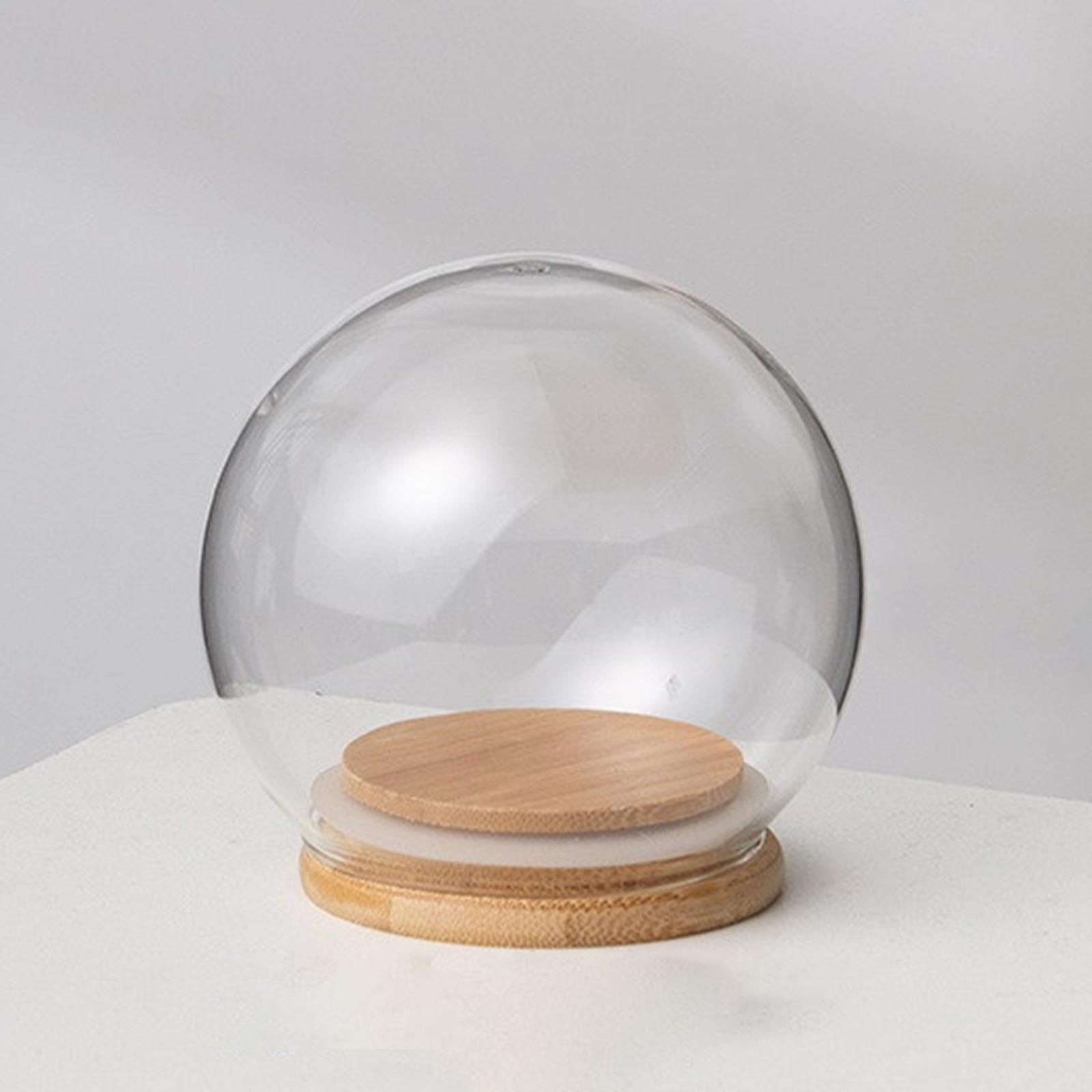 Dome with Base Tabletop Decor Decorative Jar Dustproof Display Case