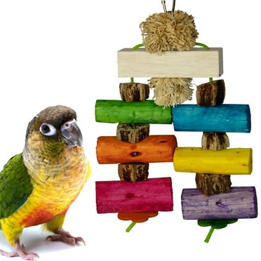 Super Bird Creations SB1179 Sola Surprise Bird Toy - Wooden Bird Toy for Parrots, Ringnecks, Medium Conures, Quakers - Crafted for Medium-Sized Birds - Ideal for Preening and Chewing Behavior - 9"x6"