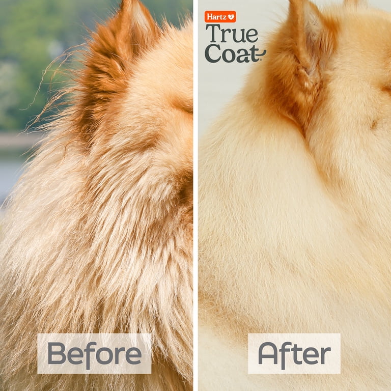 TrueCoat Thick Coat Dog Shampoo, 5-in-1 De-Shed photo 3