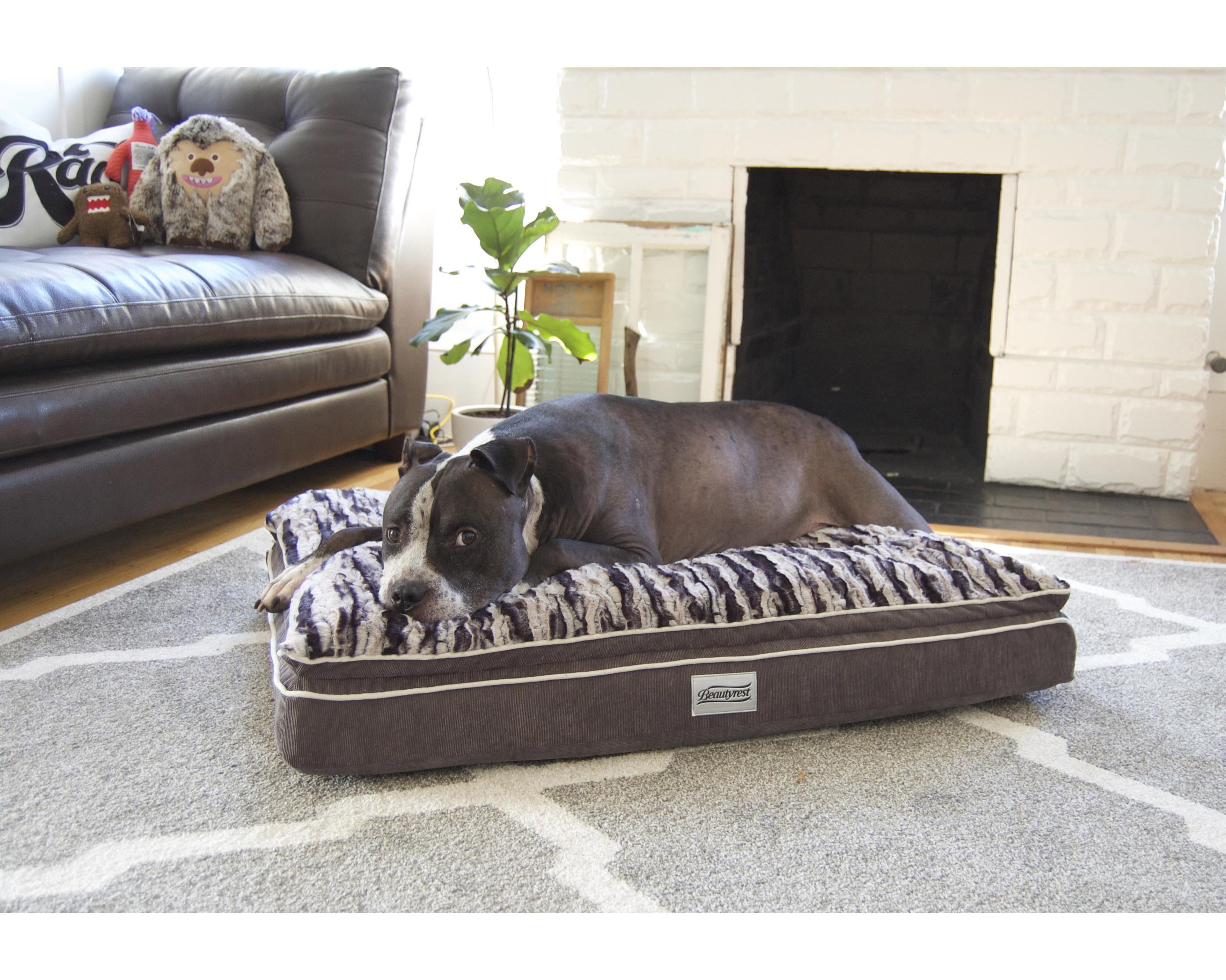 Beautyrest dog hotsell bed walmart